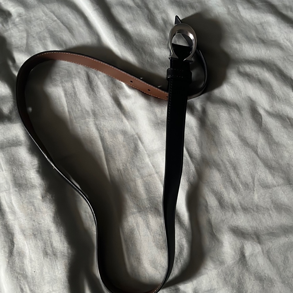 Coach belt